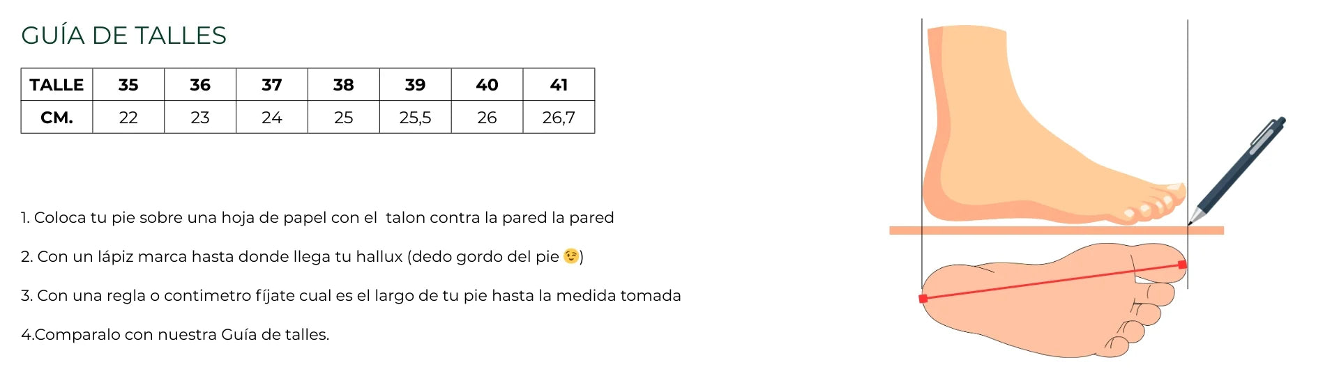 Guía de talles VERA